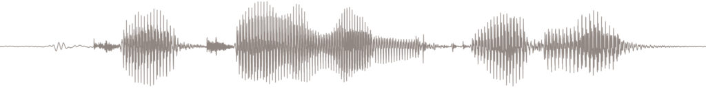 Sound wave